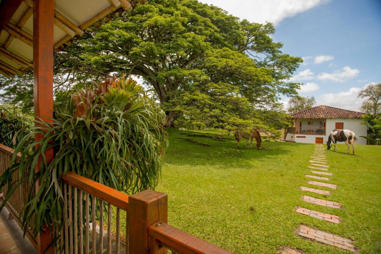 Hacienda El Samán Villa Quimbaya Esterno foto