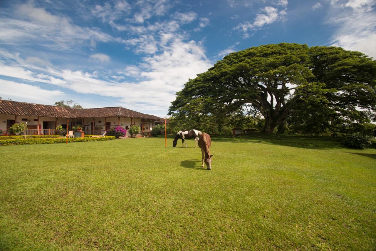 Hacienda El Samán Villa Quimbaya Esterno foto